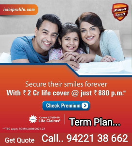 Term Insurance Plan