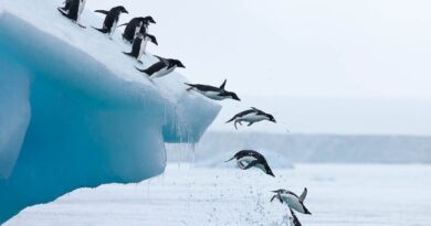 antarctica melting sea