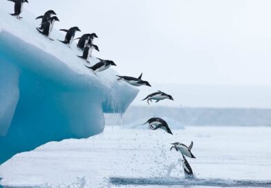 antarctica melting sea